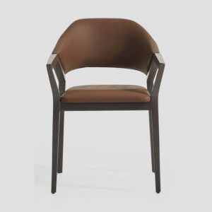 Aqua Dining Chair